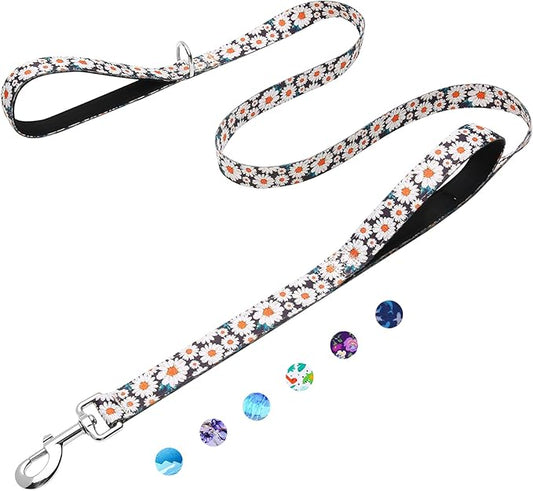 4ft Dog Leash with Two Padded Handles, Heavy Duty Strong Nylon Pet Leash with Soft Neoprene Handle for Small Medium Large Dogs, Daisy