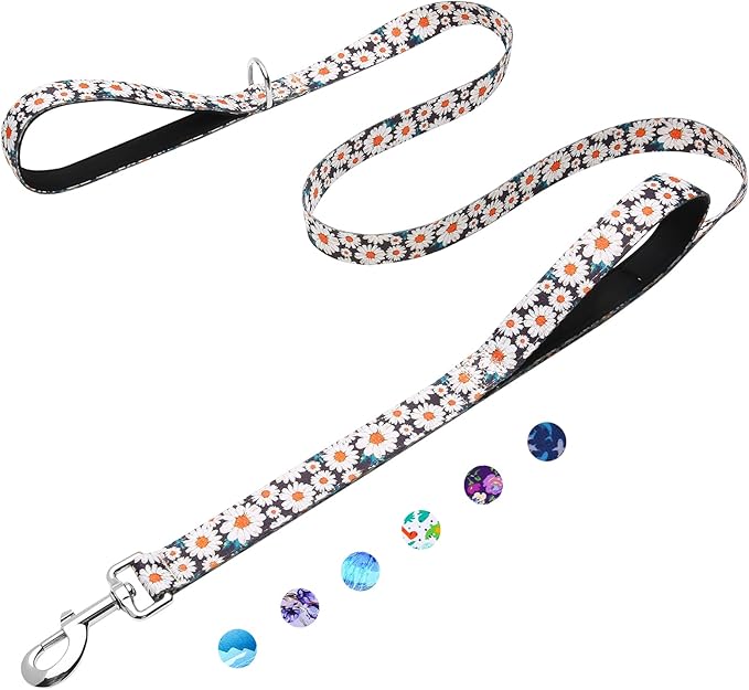 6ft Dog Leash with Two Padded Handles, Heavy Duty Strong Nylon Pet Leash with Soft Neoprene Handle for Small Medium Large Dogs, Daisy