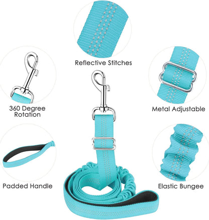 Lukovee No Pull Dog Harness and Leash Set, Soft Padded Small Dog Harness, Neck & Chest Adjustable Reflective Vest Puppy Harness with 4ft Lightweight Anti-Twist Dog Leash for Small Dogs (XS, 01-LBL)