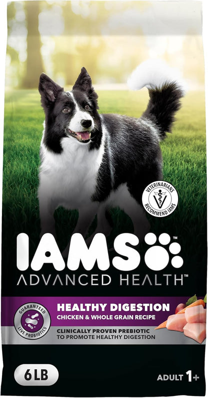IAMS Advanced Health Healthy Digestion Adult Dry Dog Food with Real Chicken, 6 lb. Bag