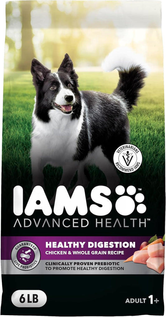 IAMS Advanced Health Healthy Digestion Adult Dry Dog Food with Real Chicken, 6 lb. Bag
