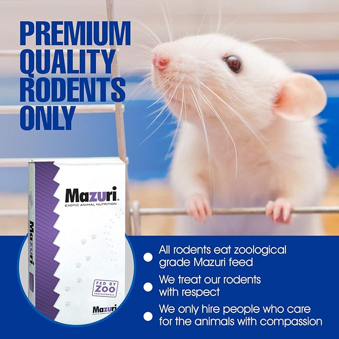 MiceDirect- 10 Rat Weanlings- Fresh Fast Frozen Food Feeders for SubAdult Ball Python Red Tail Boa Monitor Lizard Birds of Prey Pet Reptiles