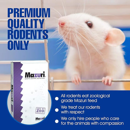 MiceDirect Frozen Mice Combo Pack 20 Fuzzies & 20 Hoppers Frozen Reptile & Snake Food (40 Count)