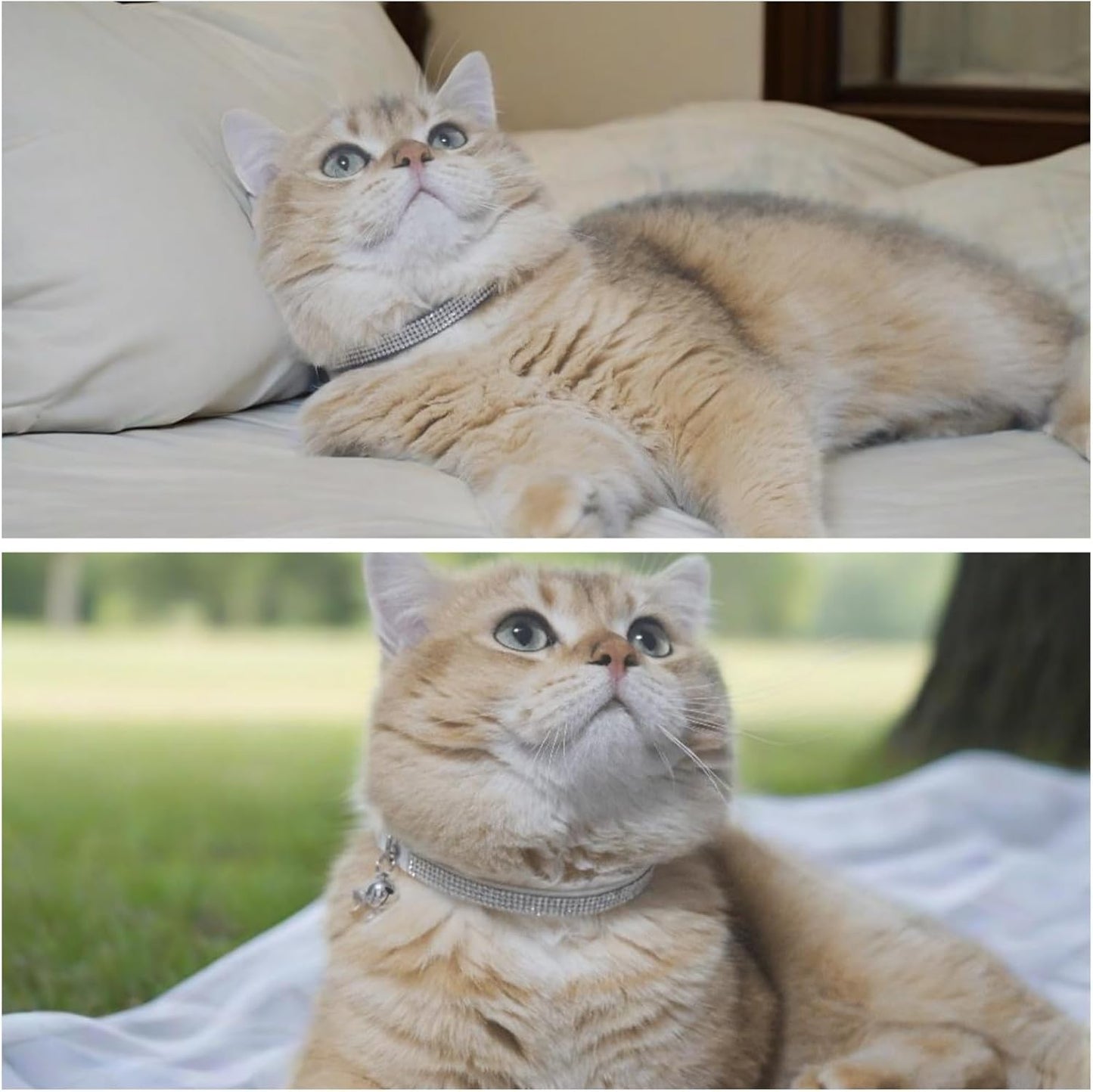 Rhinestone Cat Collar Breakaway with Bell Safety Buckle, Adjustable Diamond Girl Boy Kitty Cute Comfy Collar for Kitten Tiny Little Pets Rabbits, 6"-9" White Extra Small