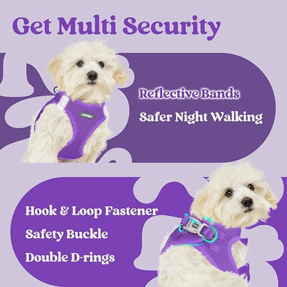 rabbitgoo Small Dog Harness, Step-in Soft Mesh Puppy Vest with Safety Buckle, Breathable Reflective Pet Harness for Extra Small Dogs, Purple XXXS