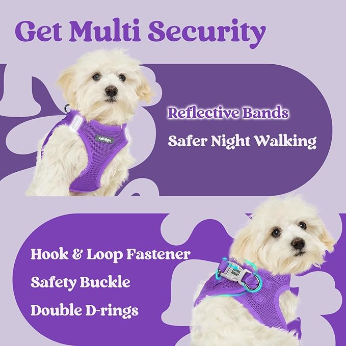 rabbitgoo Small Dog Harness, Step-in Soft Mesh Puppy Vest with Safety Buckle, Breathable Reflective Pet Harness for Small Sized Dogs, Purple XS