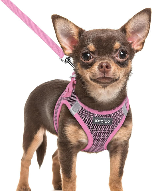 Eagloo Small Dog Harness and Leash Set, Step in Puppy Vest with Breathable Soft Mesh, Walking Reflective Pet Harness for Extra Small Dogs, Pink, XXS