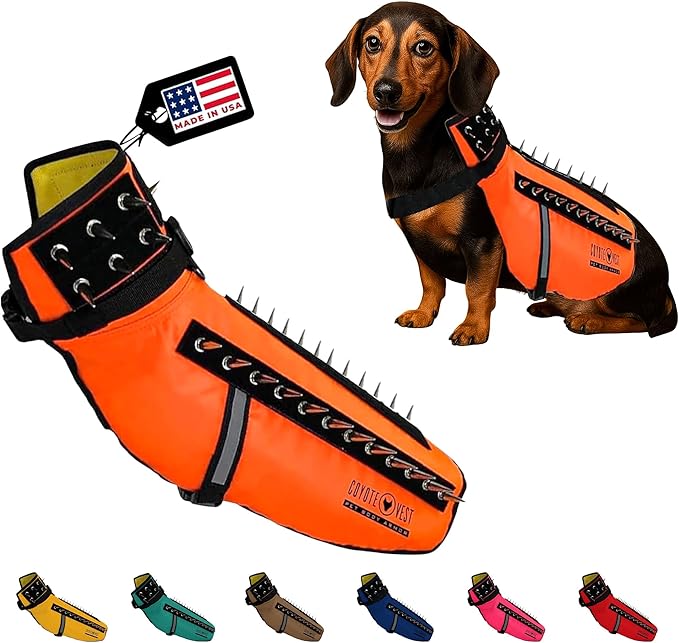 CoyoteVest Dog Harness Protection Vest, Reflective Dog Accessories with Spikes to Shield Your Pet from Raptor and Animal Attacks, Proudly Made in America (Medium, Fluorescent Orange)