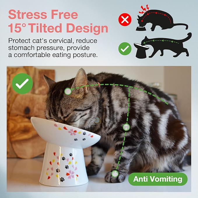 Necoichi Raised Cat Food Bowl – Ceramic Elevated 15° Tilted Cat Bowl for Whisker & Neck Fatigue, Dishwasher Microwave Safe – Non-Slip Anti Vomiting Ergonomic Design (Sakura Floral, Extra Wide Tilted)