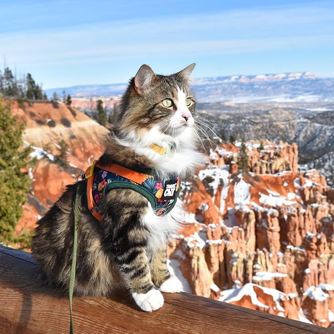 Travel Cat Harness and Leash Set - Adjustable Fit Mesh Cat Harness and Reflective Strap - Comfort Walking Vest for Kitten for Outdoor Walking, Hiking (Small, Hawaiian)