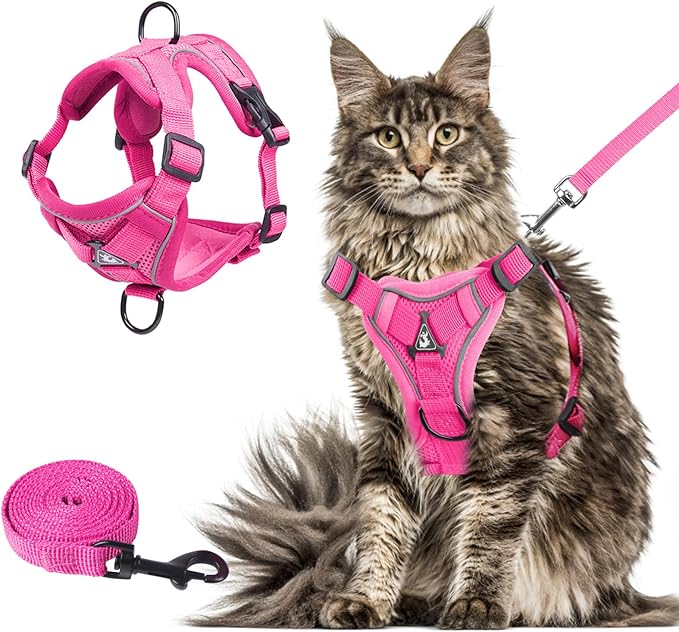 Wanheart Summer cat Chest Harness and Leash, Anti-Escape Adjustable Soft mesh cat Leash and Chest Harness Set for All Types of Cats cat Vests (Rose red, XL)