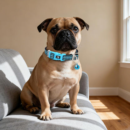 Reflective Dog Collar with Bell - Hypoallergenic Adjustable Nylon Puppy Collar for Night Safety, Soft Comfort Fit Small Dogs & Cats, Blue Small