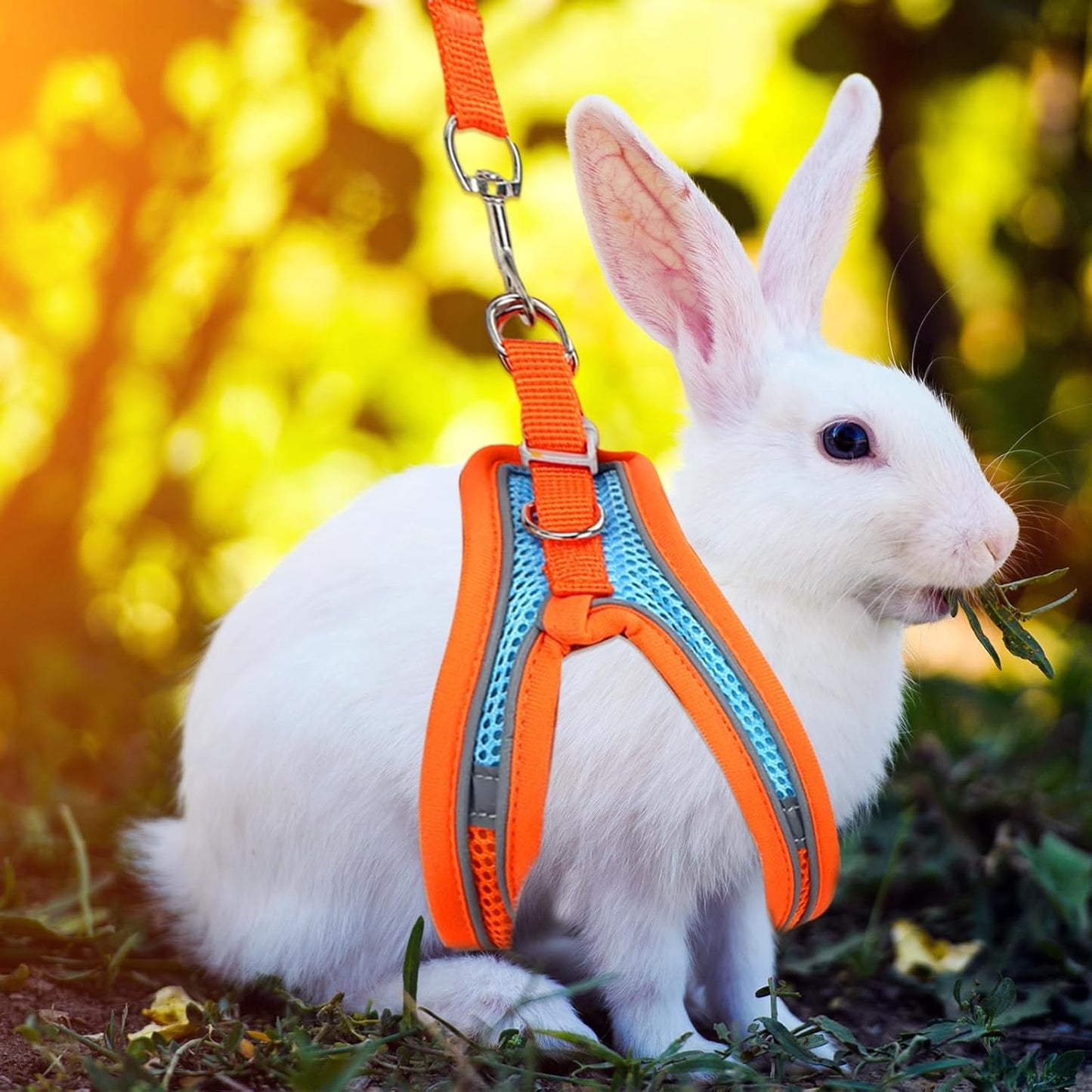 2 Pack Rabbit Harness and Leash Set, Double Buckle Bunny Harness with Reflective Strips Soft Breathable Mesh Vest Harness for Rabbits Walks Accessories
