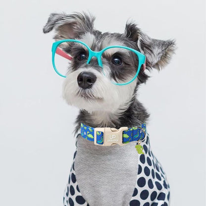 Summer Dog Collar-Dinosaur Dog Collars with Dino Eggs-Blue Summer Pet Dollar-Soft, Adjustable & Stylish for Small/Medium Dogs