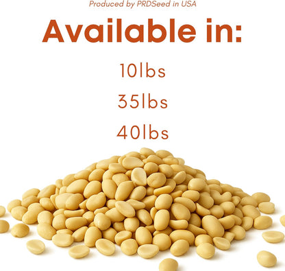 Fresh Shelled Peanuts for Birds & Squirrels - Raw Wildlife Peanuts, No Mess Bird Seed, No Waste Bird Seed for Wild Birds & Backyard Squirrels (35lbs)