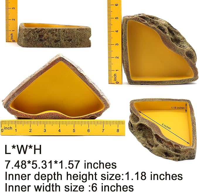 Reptile Feeder Resin Bowl Amphibian Reptile Bowl for Lizard Gecko Bearded Dragon Turtle