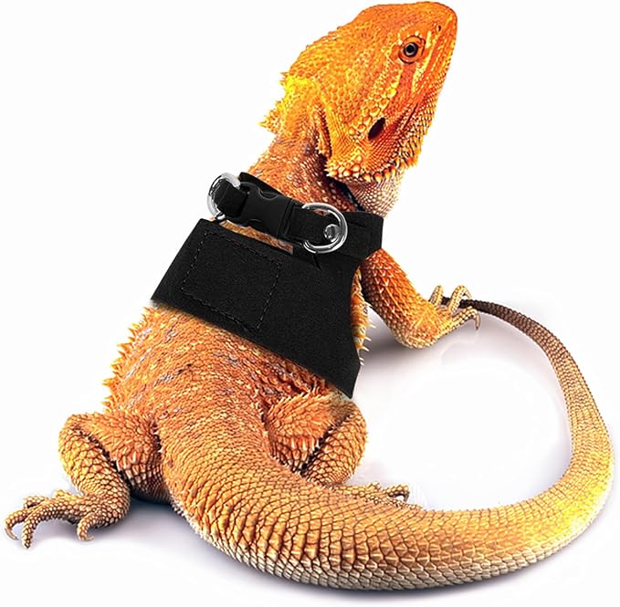 Bearded Dragon Leash and Harness Set, Beardie Carrier, Lizard Adjustable Harness with Leather Wings and Sling Bag, Reptile Small Pet Backpack Batwing Accessories (Black)
