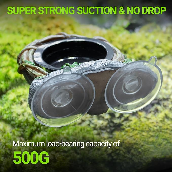 REPTI ZOO Crested Gecko Feeding Ledge, Reptile Water Food Dish for Bearded Dragon Lizard Snake Turtle, Vine Reptile Feeder Ledge Bowl with 2PCS Cups