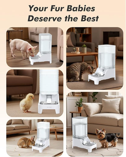 Automatic Dog Water Bowl Dispenser, 8L Gravity Cat Water Dispenser with Patented Valve, Elevated Stainless Steel Bowl, BPA-Free, Easy to Clean Pet Water Dispenser with Filter, Pet Waterer for Puppy