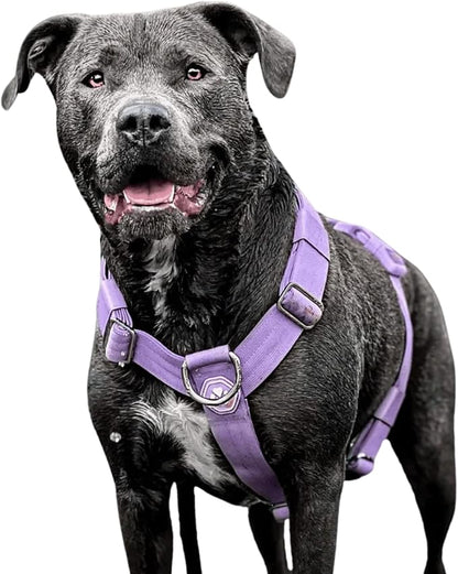 Spark Paws No Pull Dog Harness for Large Dogs, Heavy Duty Dog Harness for Big Strong Breeds, Adjustable, Y Shaped Padded Halter Design with Front Clip - Purple - Large