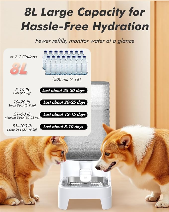 Automatic Dog Water Bowl Dispenser, 8L Gravity Cat Water Dispenser with Patented Valve, Elevated Stainless Steel Bowl, BPA-Free, Easy to Clean Pet Water Dispenser with Filter, Pet Waterer for Puppy