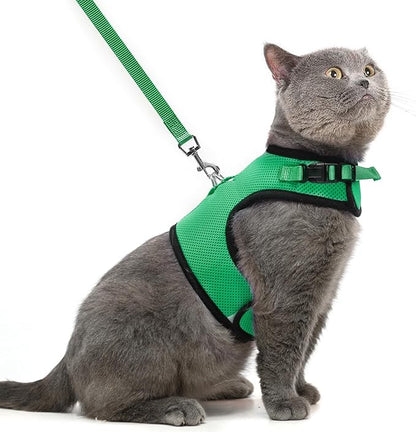 PUPTECK Soft Mesh Cat Vest Harness and Leash Set Puppy Padded Pet Harnesses Escape Proof for Cats Small Dogs Rabbits Bunny, Deep Green XL
