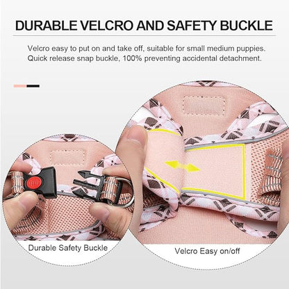 Mercano Soft Mesh Dog Harness and Leash Set, No-Chock Step-in Reflective Breathable Lightweight Easy Walk Vest Harnesses with Safety Buckle for Small Dogs, Cats (Champagne, S)