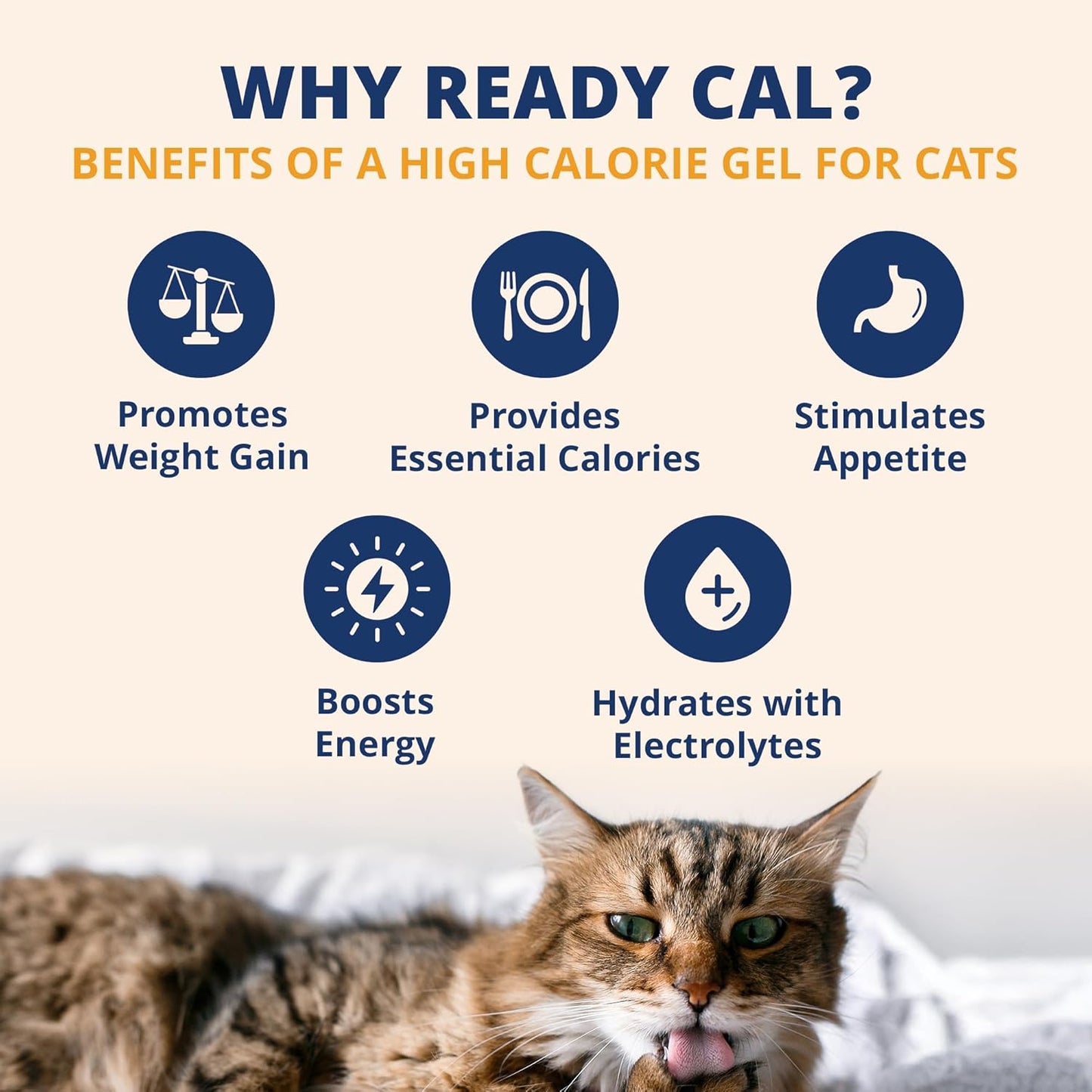 Under the Weather Pet Electrolytes Ready Cal Plus Gel for Cats | Vet-Formulated High-Calorie Supplement for Cats & Kittens | Promotes Weight Gain & Boosts Energy for Sick Felines | 3.5 Oz Tube Pack