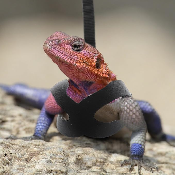 Bearded Dragon Harness and Leash Set, 3-Size Adjustable Soft Leather Reptile Leash for Training & Walking, Lizard Harness with Traction Rope, Walking Vest for Small Animal Outdoor, Black