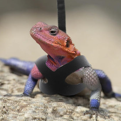 Bearded Dragon Harness and Leash Set, 3-Size Adjustable Soft Leather Reptile Leash for Training & Walking, Lizard Harness with Traction Rope, Walking Vest for Small Animal Outdoor, Black