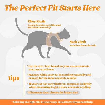 rabbitgoo Cat Harness and Leash Set for Walking Escape Proof, Adjustable Soft Kittens Vest with Reflective Strip for Cats, Comfortable Outdoor Vest,Light Orange,M