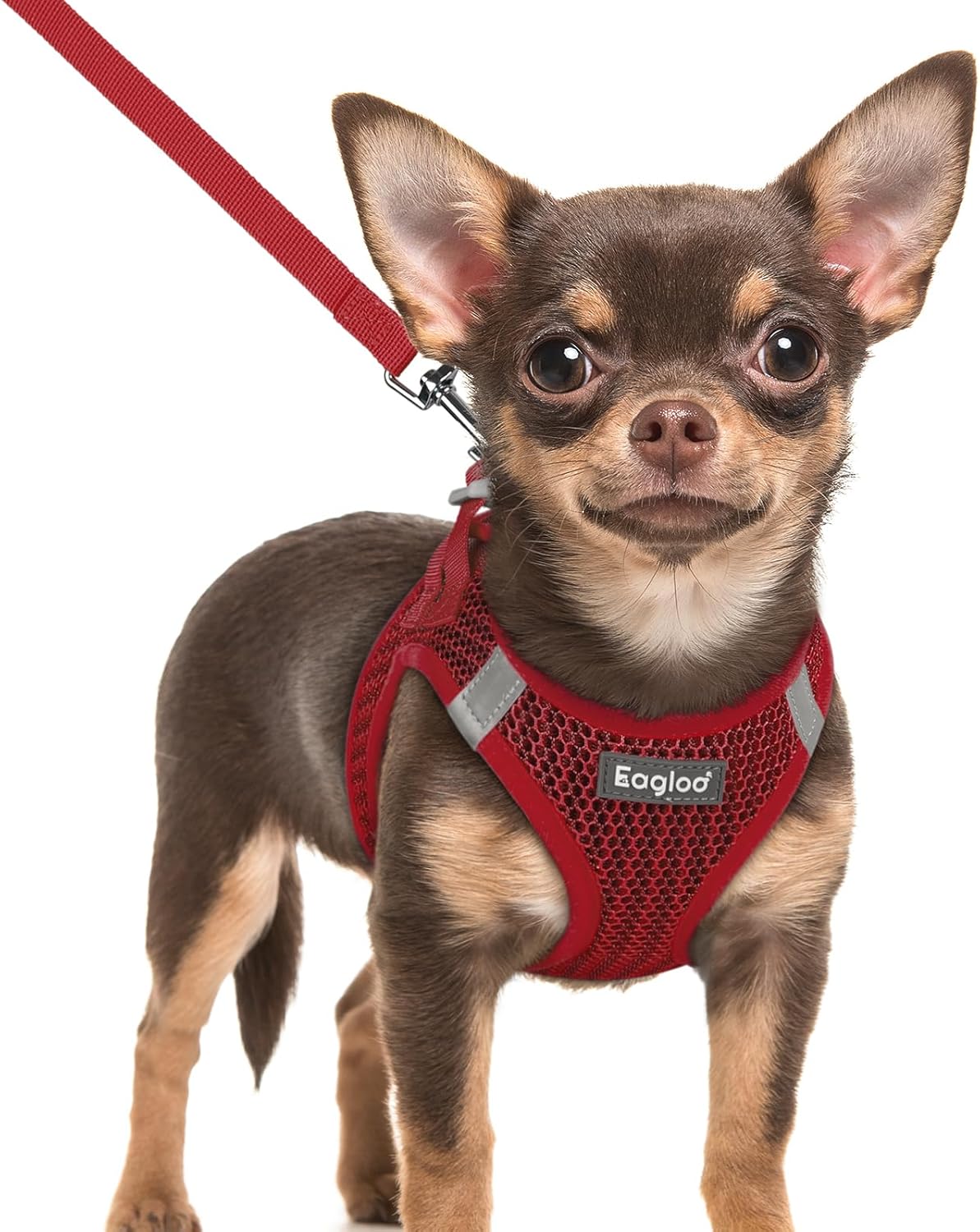 Eagloo Small Dog Harness and Leash Set, Step in Puppy Vest with Breathable Soft Mesh, Walking Reflective Pet Harness for Extra Small Dogs, Red, XXS