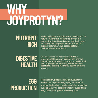 5LB Non-GMO Dried Mealworms - High Protein Natural Feed & Chicken Treats for Chickens, Ducks, Wild Birds, Quails & Reptiles - Support Egg Production & Feather Growth