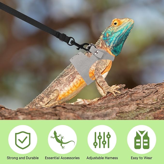 Bearded Dragon Harness Leash Set 3 Size Adjustable Lizards Training Walking Leather Vest Escape-Proof Traction Rope for Outdoor Small Reptiles Animal Squirrels (Grey)