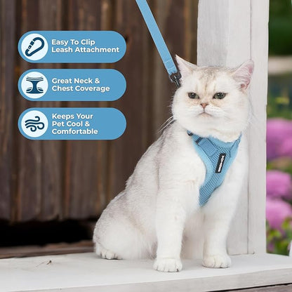 Voyager Step-in Lock Adjustable Cat Harness w. Cat Leash Combo Set with Neoprene Handle 5ft - Supports Small, Medium and Large Breed Cats by Best Pet Supplies - Baby Blue, S