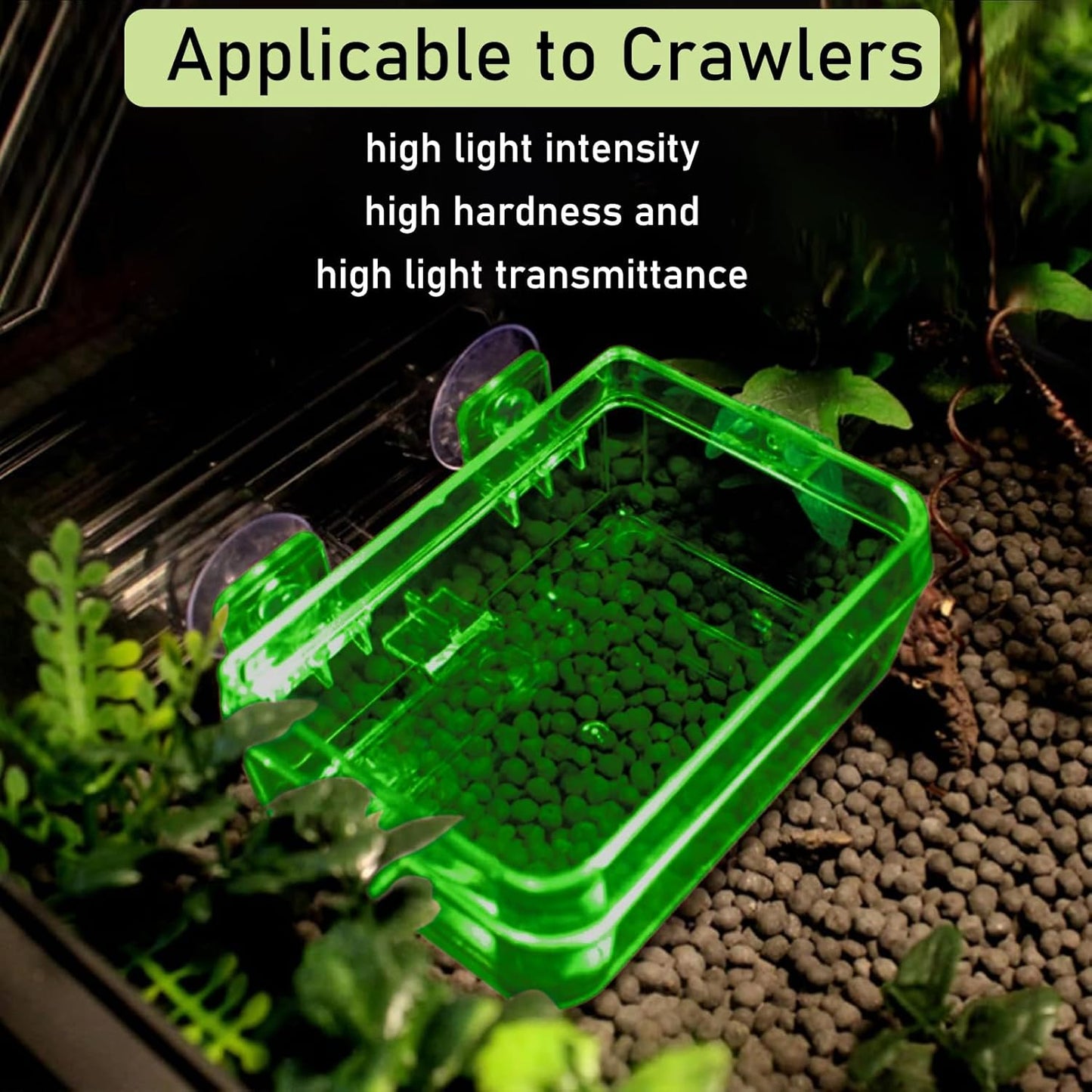 Tfwadmx 2 Pcs Reptile Feeder Chameleon Bowl Water Dish with Suction Cup Gecko Worm Feeder Anti-Escape Chameleon Supplies Accessories for Iguana Lizard Bearded Dragon Snakes （Green,S）