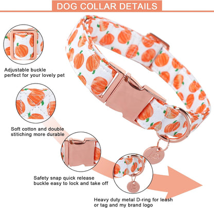 Halloween Dog Collar with Metal Buckle Gift Fall Dog Collar for Small Medium Large Girls or Boys Dogs Cute Pumpkin Cotton Pet Collars