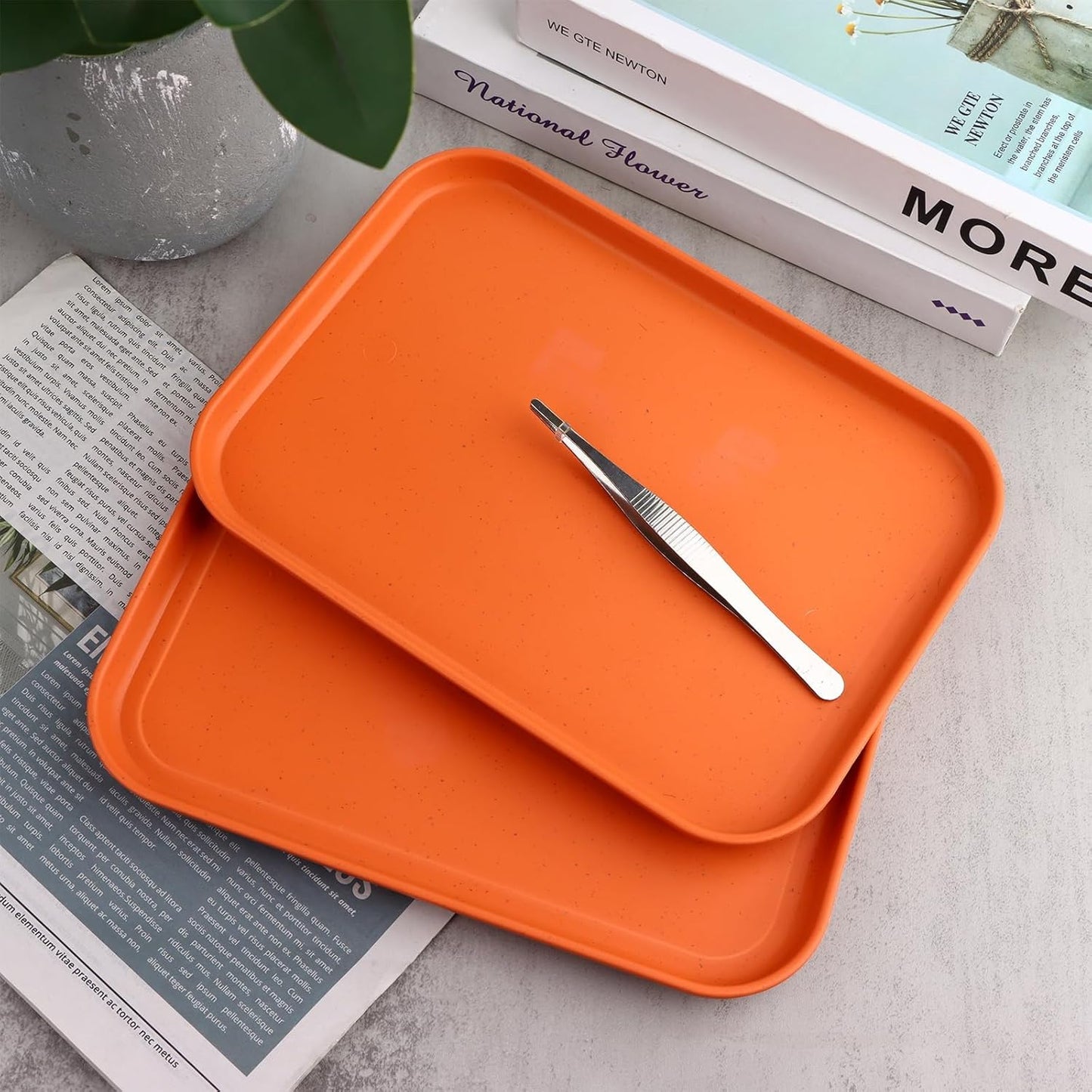 2 Pieces Reptile Food Water Dish, Reptile Feeding Bowl, Tortoise Feeding Dish, Plastic Pets Feeding Plate with 1Pcs Forcep, Crawl Pet Basking Platform for Turtle Lizard Bearded Dragon Gecko Snake