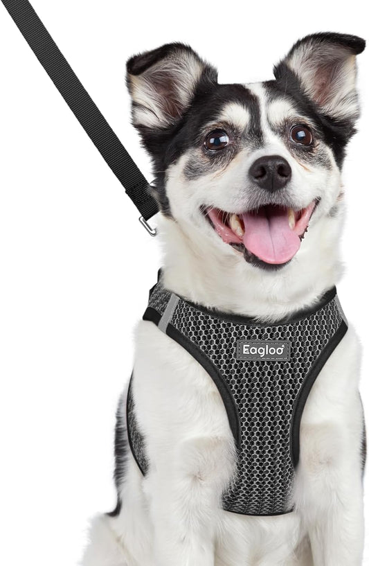 Eagloo Small Dog Harness and Leash Set, Step in Puppy Vest with Breathable Soft Mesh, Walking Reflective Pet Harness for Medium Small Dogs, Gray, L