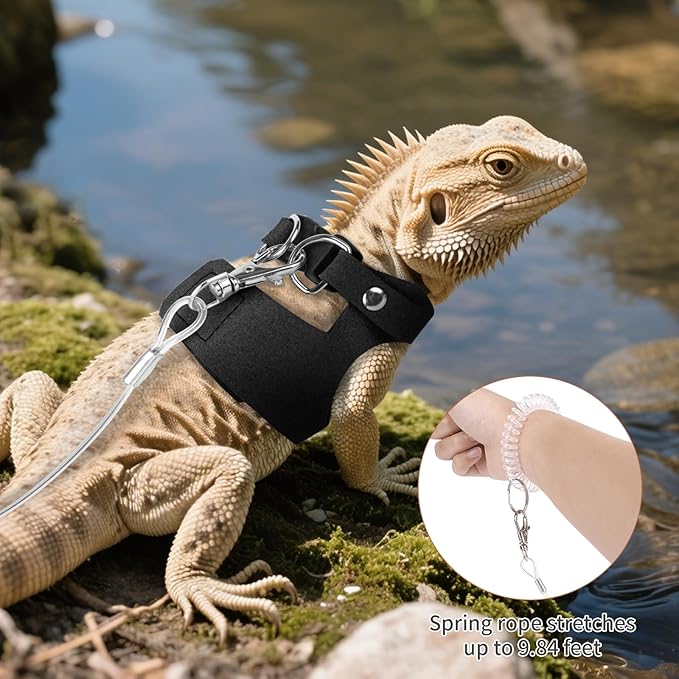 3 Pack Escape-Proof Bearded Dragon Leash - Adjustable Leather Vest and Retractable Nylon Leash, Bearded Dragons Accessories for Chameleons & Small Pets (S/M/L,Black)