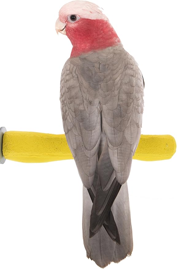 Sweet Feet and Beak Comfort Grip Safety Perch for Bird Cages - Pedicure Perch for Birds to Keep Nails and Beaks in Top Condition - Safe Easy to Install Bird Cage Accessories - M 8.5"
