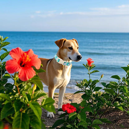 DOGWONG Spring Floral Cotton Dog Collar, Pink Flower Dog Collar Durable Soft Fabric Pet Dog Collars Cute Beachy Girl Female Puppy Necklace for Small Medium Large Dogs