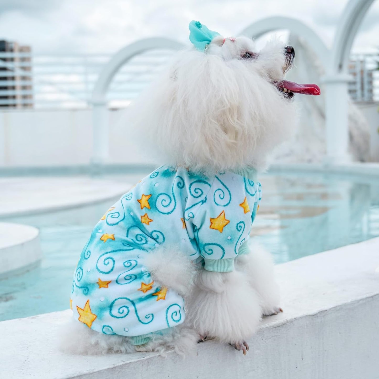 CuteBone Small Dogs Outfit Soft Puppy Onesies Pjs Dog Pajamas Pet Coat Cat Apparel Comfy Doggie Jumpsuit Bodysuit for All Seasons P279M