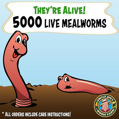 Uncle Jim's Worm Farm 5000 Count Mealworms for Reptiles and Chickens | Mealworms for Feeding Lizard, Gecko, Bearded Dragons, Chickens, Birds, and More | Suitable for Fishing Bait