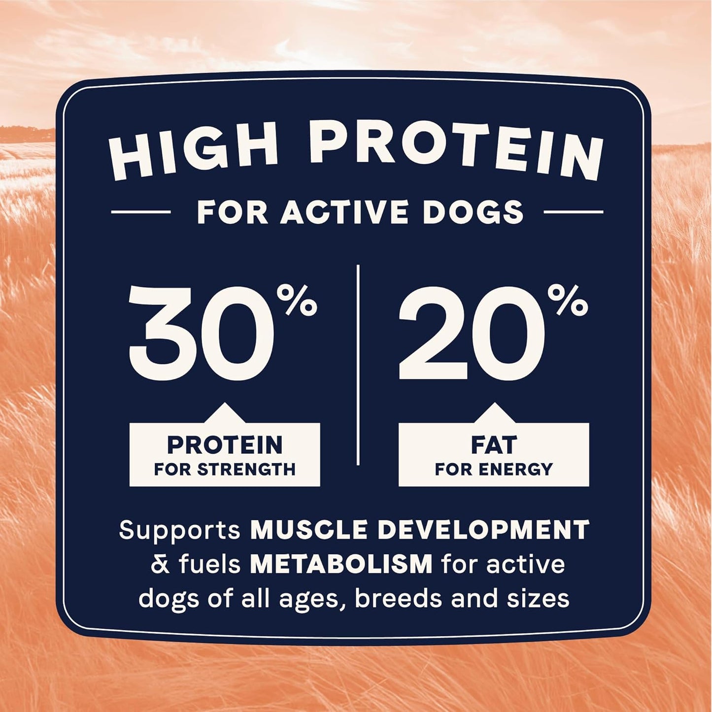 Canidae All Life Stages High Protein Dry Dog Food, Salmon & Ancient Grains Recipe, 27 lbs.