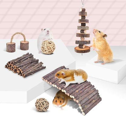 ERKOON 11 Pack Chinchillas Chew Toys, Toys Accessories for Teeth Care, Natural Apple Wood Ladder Bell Roller for Russian Hamster Gerbils Rats Guinea Pigs (11PCS)