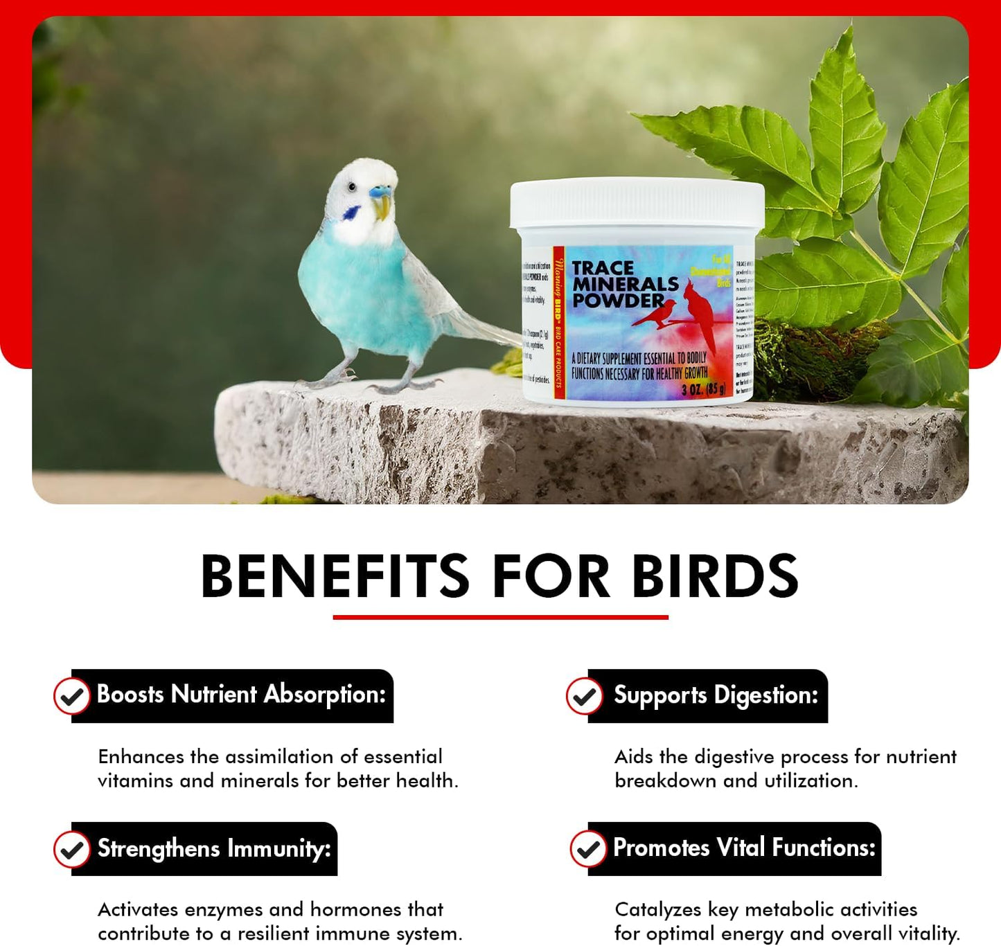 Morning Bird Trace Minerals Powder 3 Oz – Complete Mineral Supplement for Birds – Promotes Energy, Metabolism & Enzyme Activity – Easy to Mix for Daily Vitamin Support.
