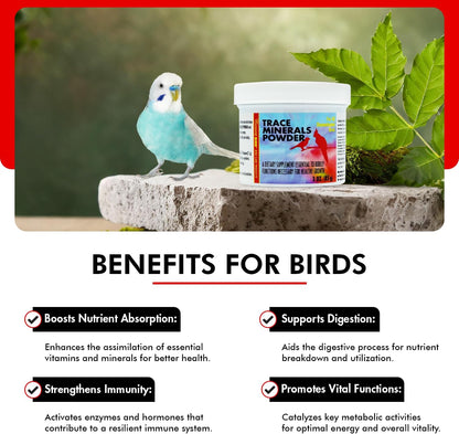 Morning Bird Trace Minerals Powder 3 Oz – Complete Mineral Supplement for Birds – Promotes Energy, Metabolism & Enzyme Activity – Easy to Mix for Daily Vitamin Support.