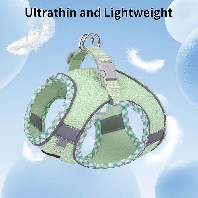 AIITLE XXS Dog Harness & Leash Set - Breathable Reflective No-Choke Small Dog Harness for Teacup Puppies, Indoor/Outdoor Use - Boston Terrier, Maltese, Chihuahua (Sage, XXS)