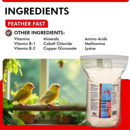 Morning Bird Feather Fast 3 lbs – Multi-Vitamin During Molt - Molting Support Supplement for Bird – Amino Acid & Vitamin Powder Formula– Promotes Feather Growth, and Full Plumage – for All Adult Birds